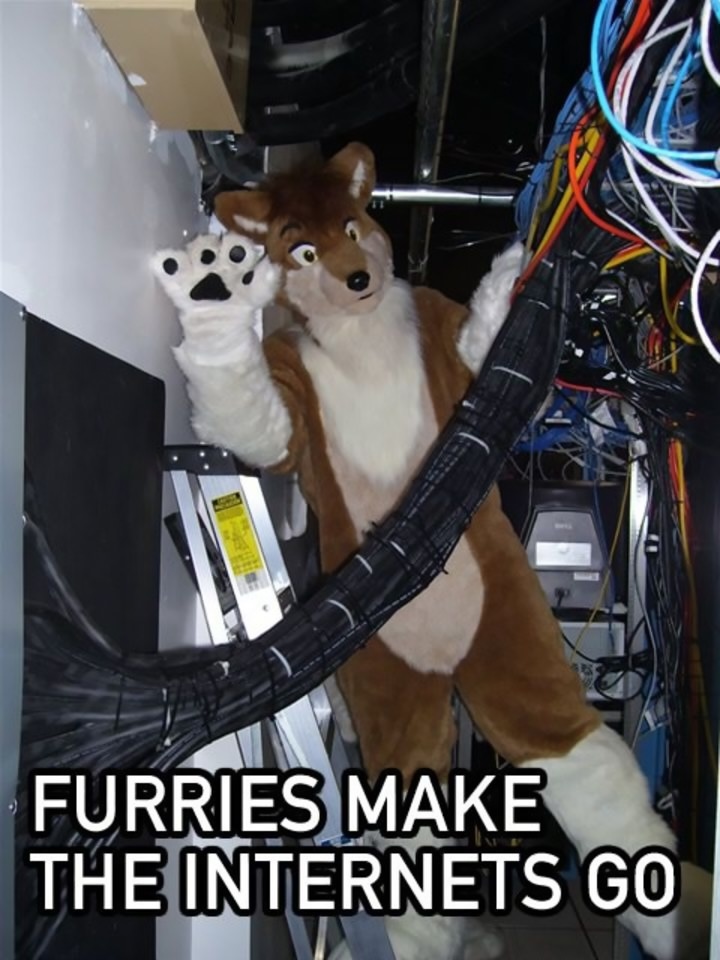 photograph of a fursuiter in a data center waving at the viewer, captioned "furries make the internets go"